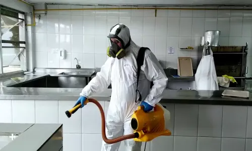 Profissionais Qualificados